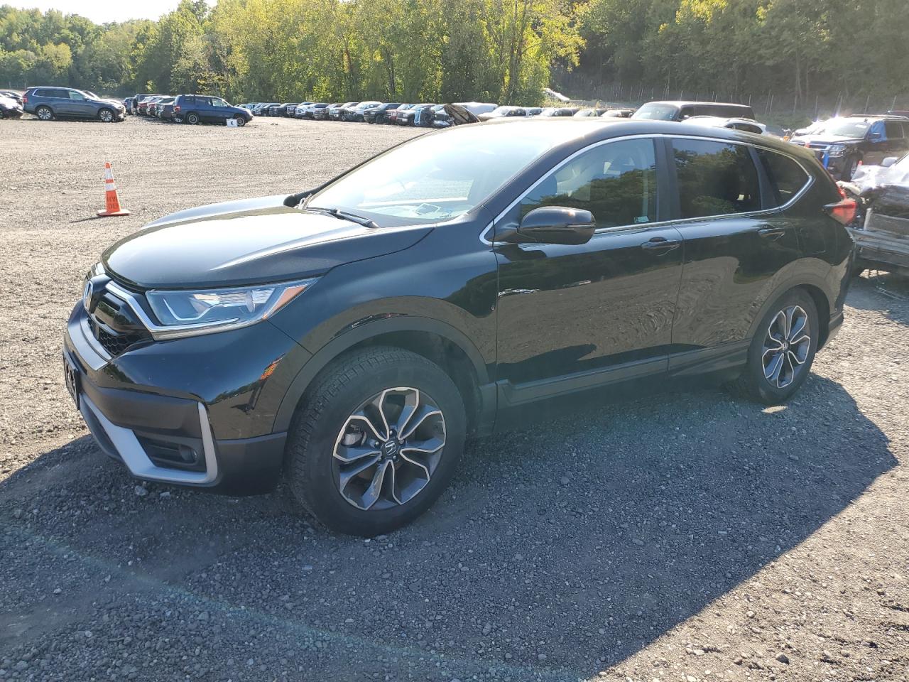 HONDA CR-V EX 2020