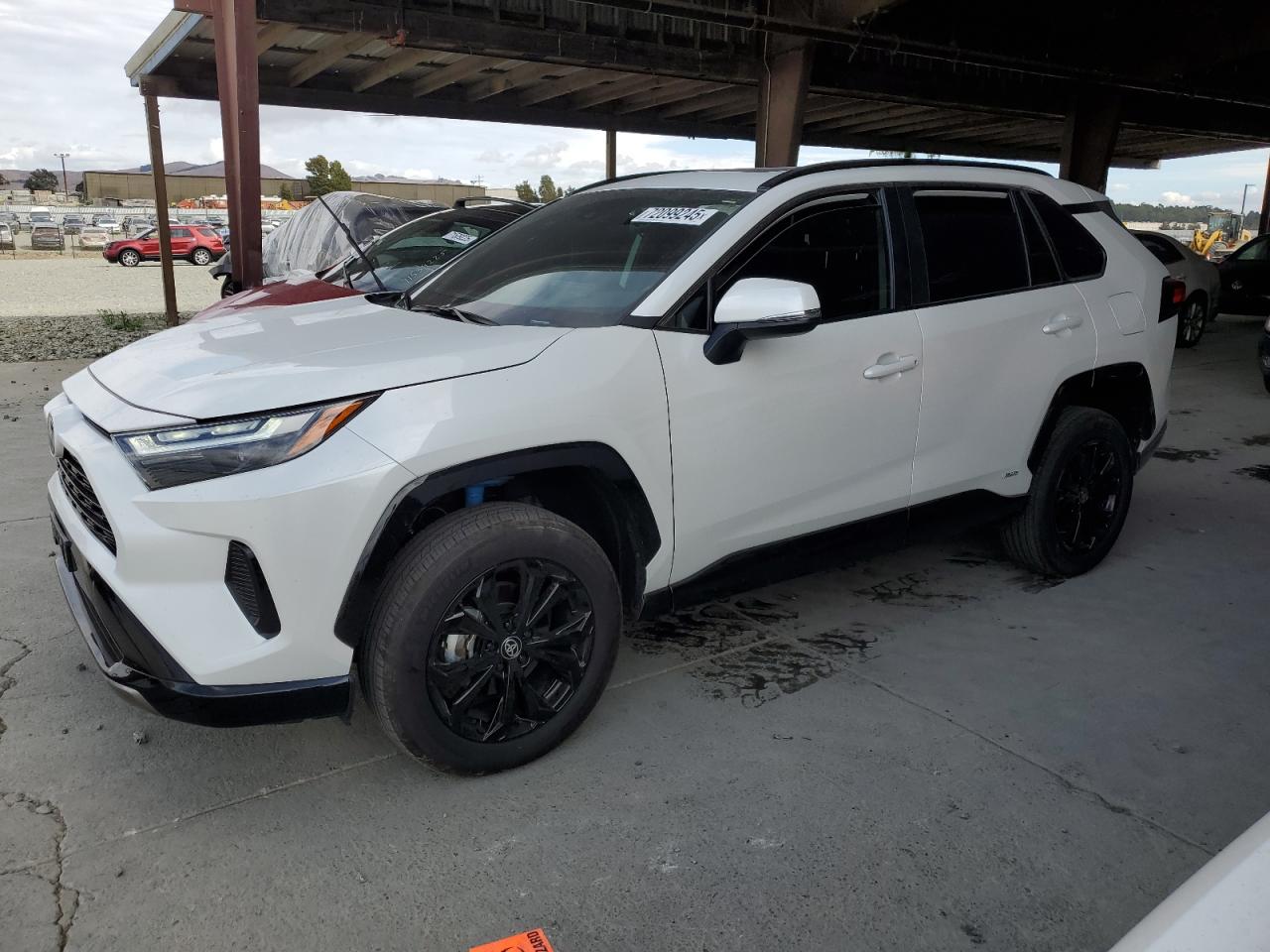 TOYOTA RAV4 SE 2024