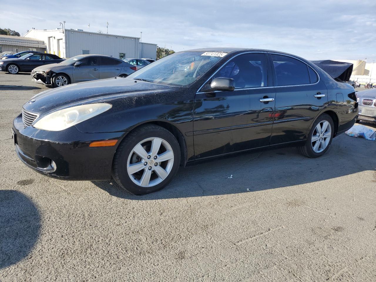LEXUS ES 330 2005