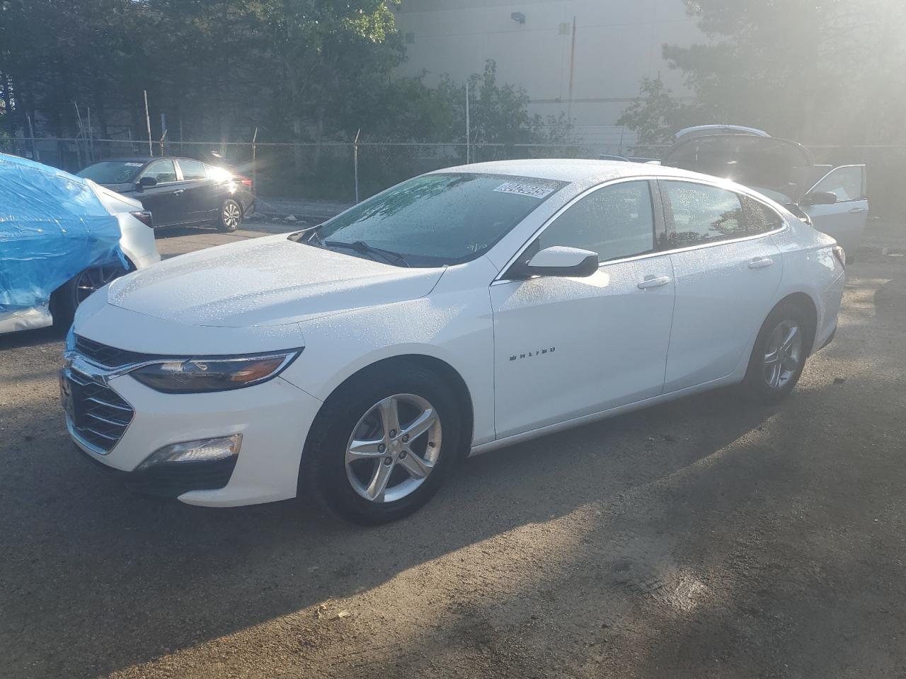CHEVROLET MALIBU LT 2022