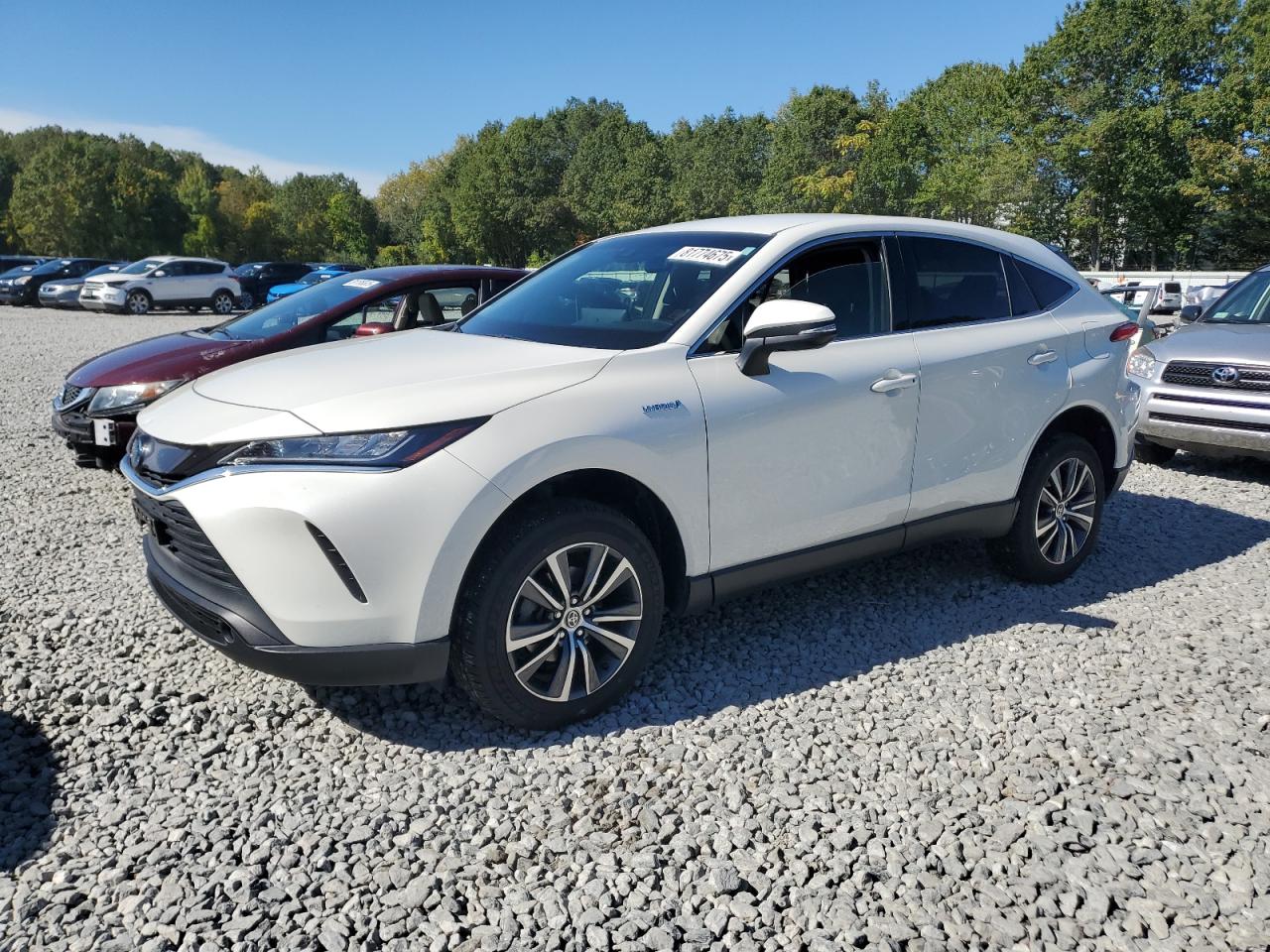 TOYOTA VENZA LE 2021