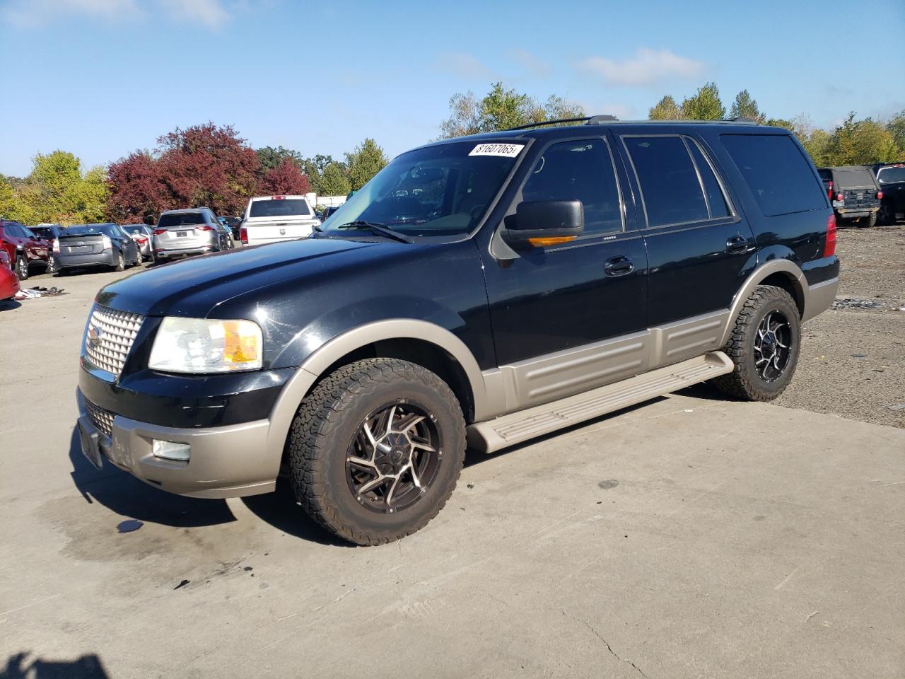 FORD EXPEDITION EDDIE BAUER 2004