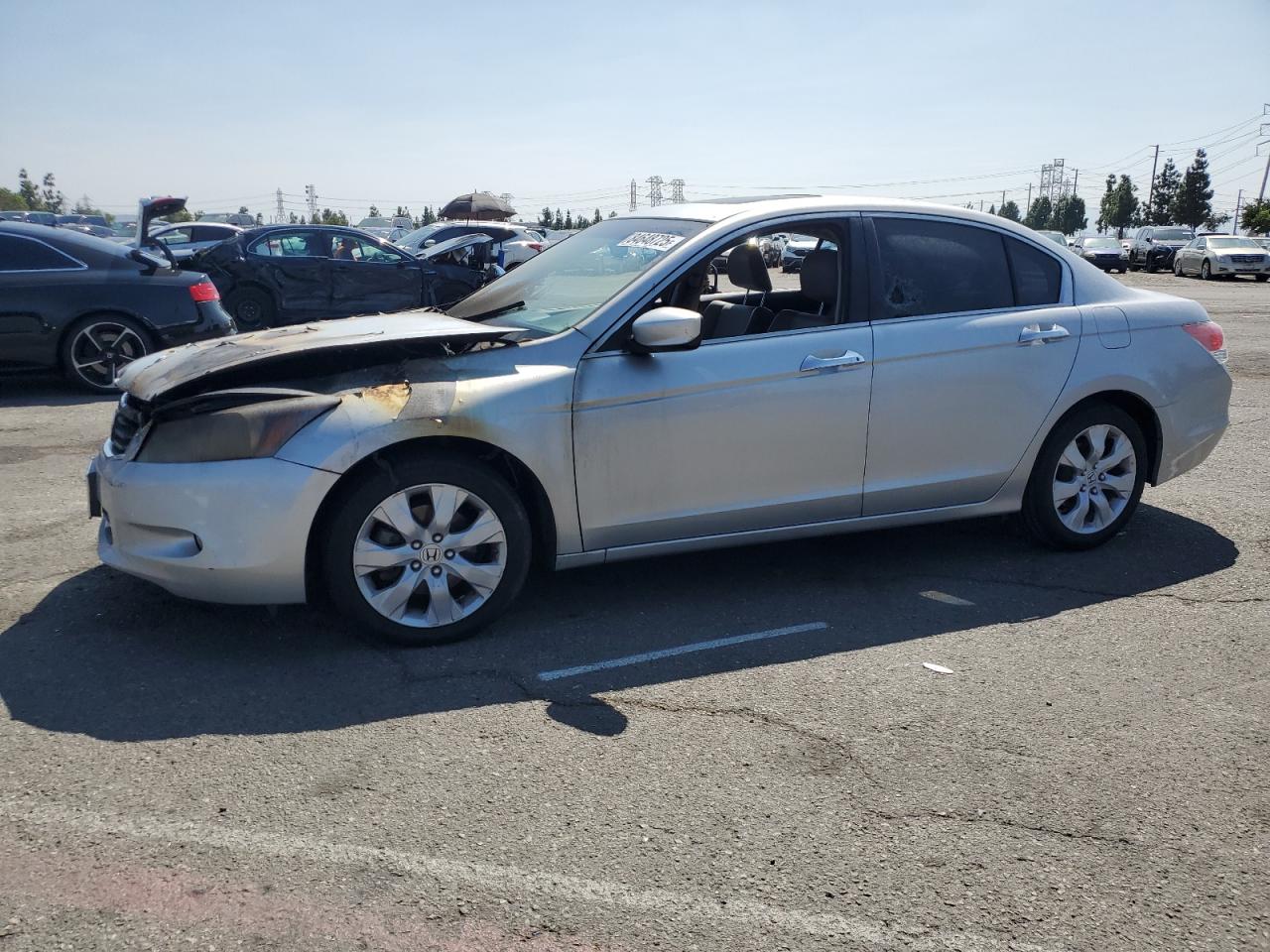 HONDA ACCORD EXL 2010
