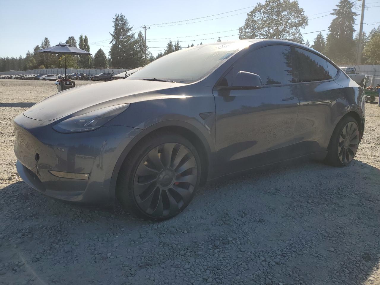 TESLA MODEL Y 2023
