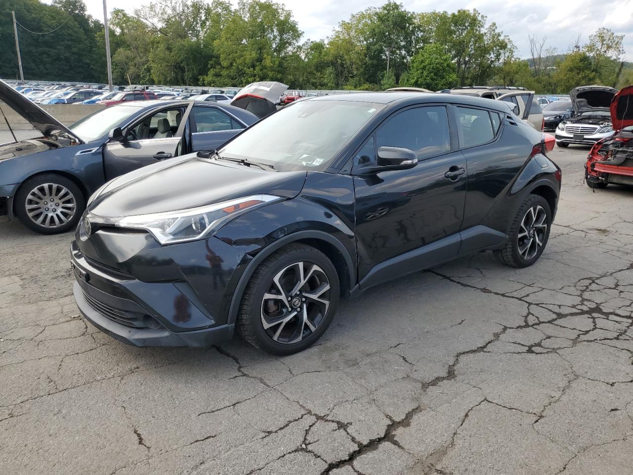 TOYOTA C-HR XLE 2019