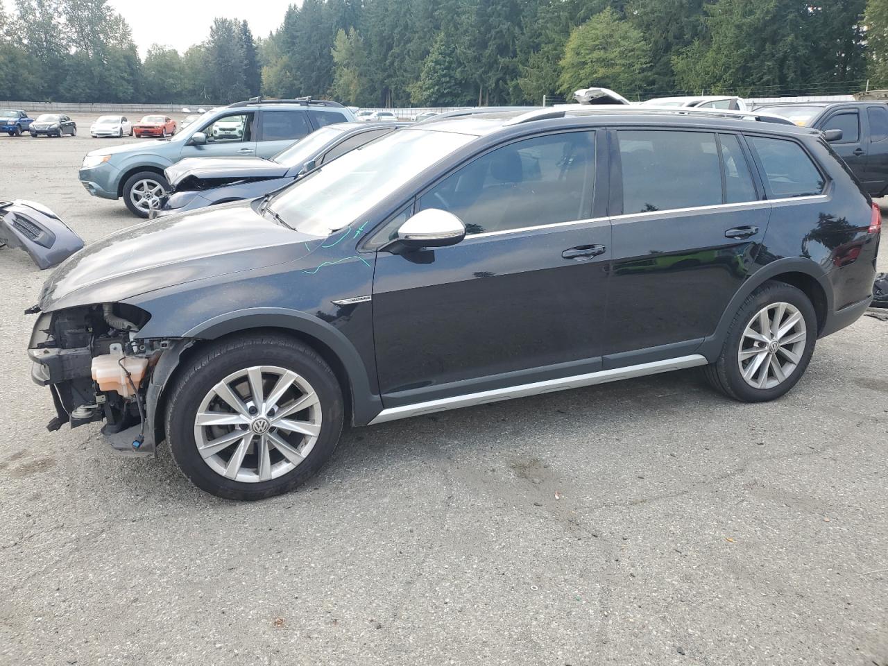 VOLKSWAGEN GOLF ALLTR 2017