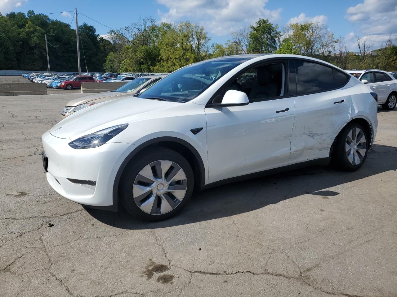 TESLA MODEL Y 2023