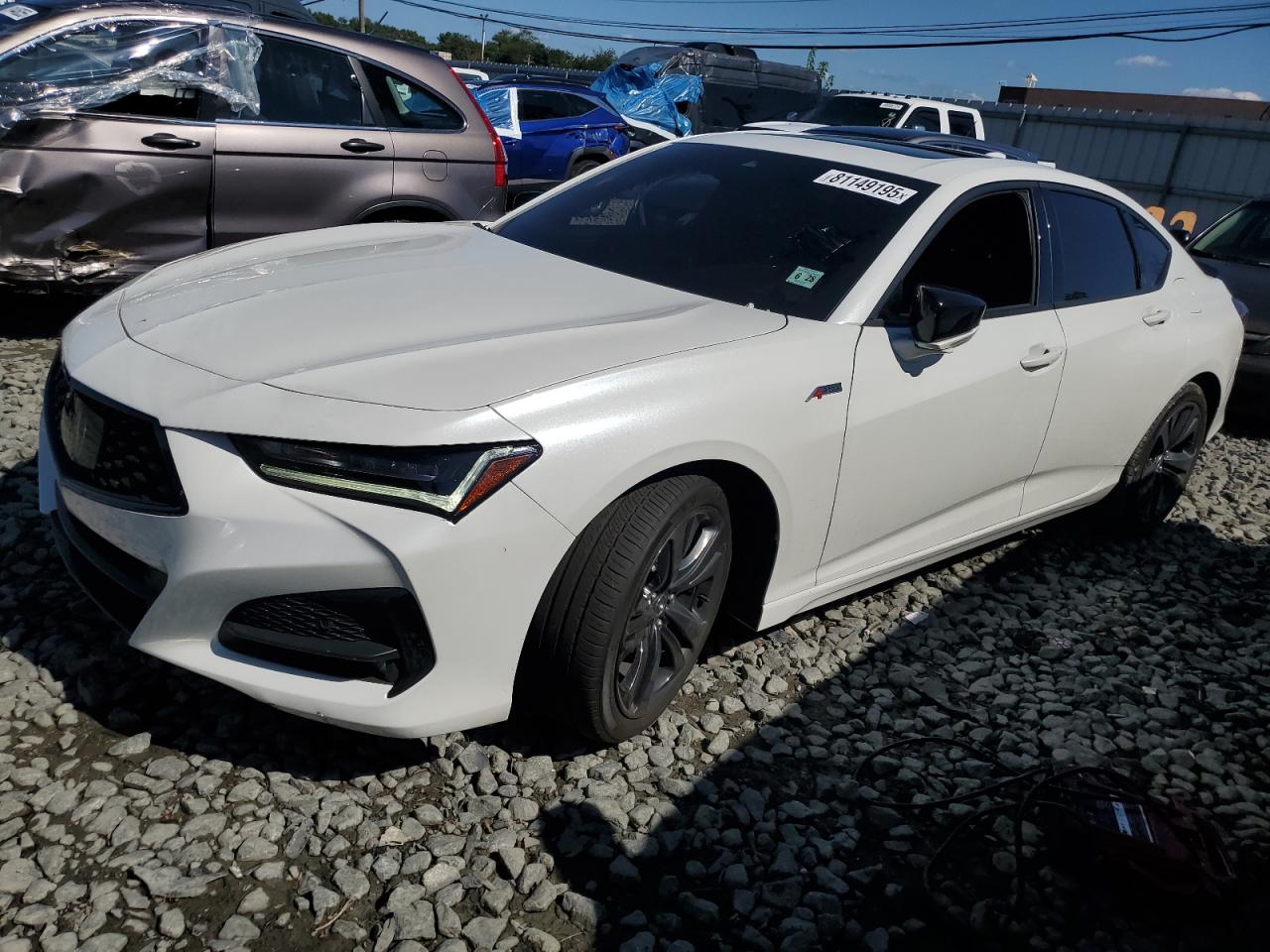 ACURA TLX A-SPEC 2023