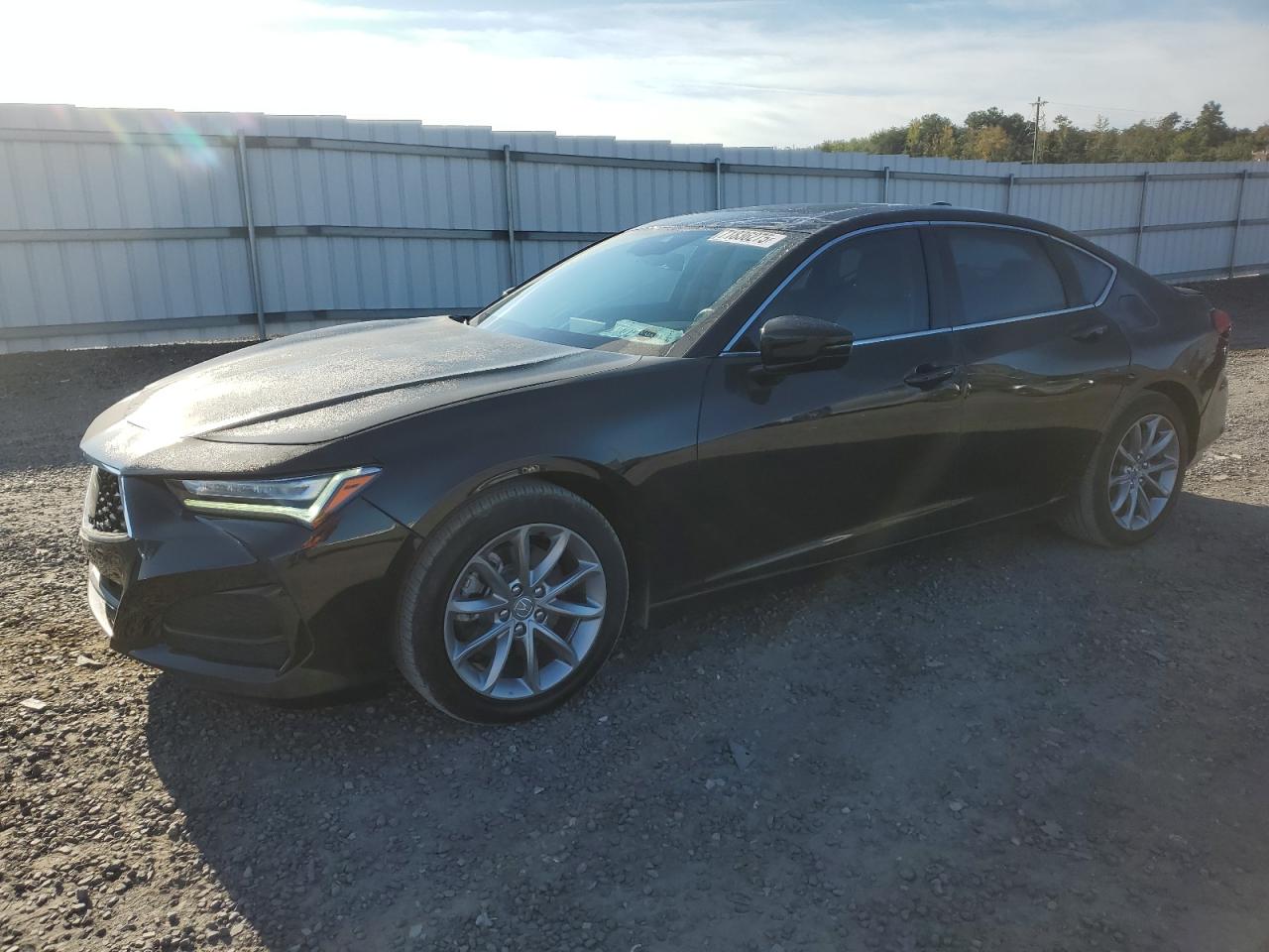 ACURA TLX 2022