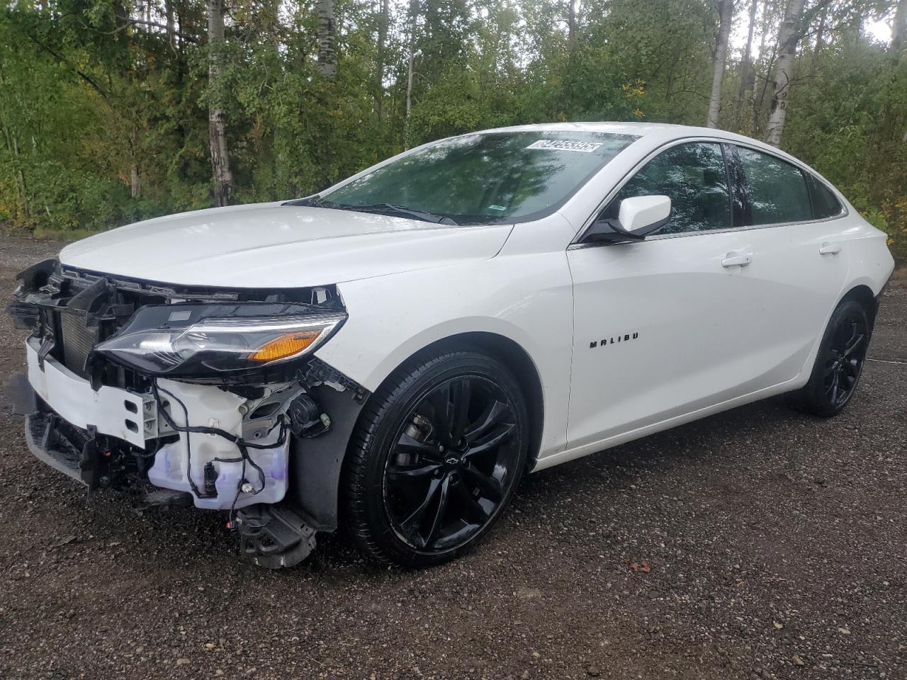 CHEVROLET MALIBU LT 2023