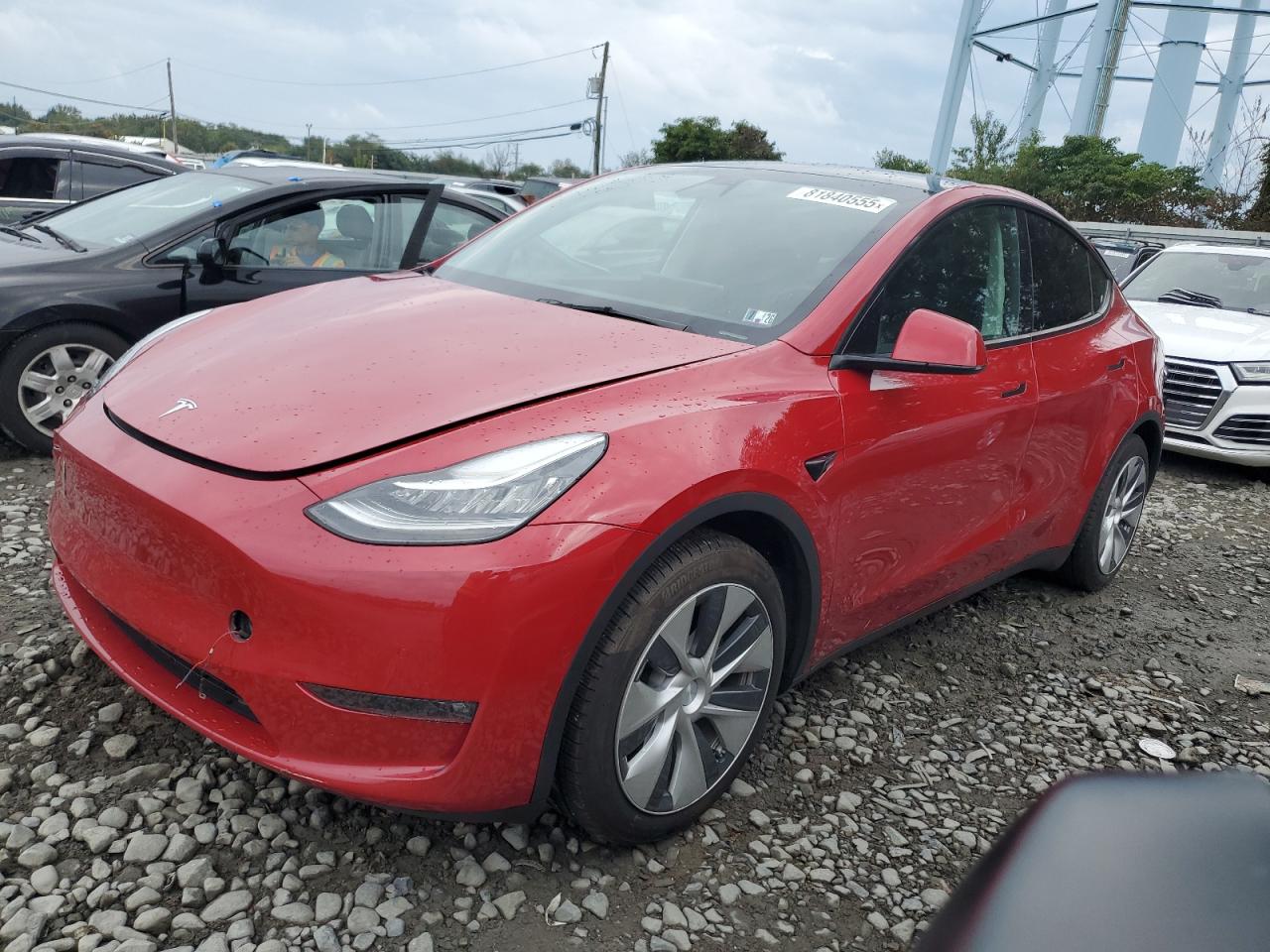 TESLA MODEL Y 2021