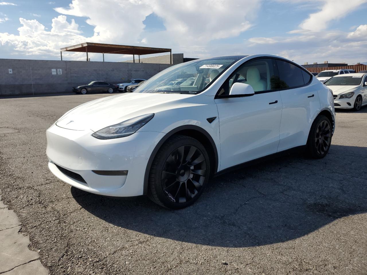TESLA MODEL Y 2021
