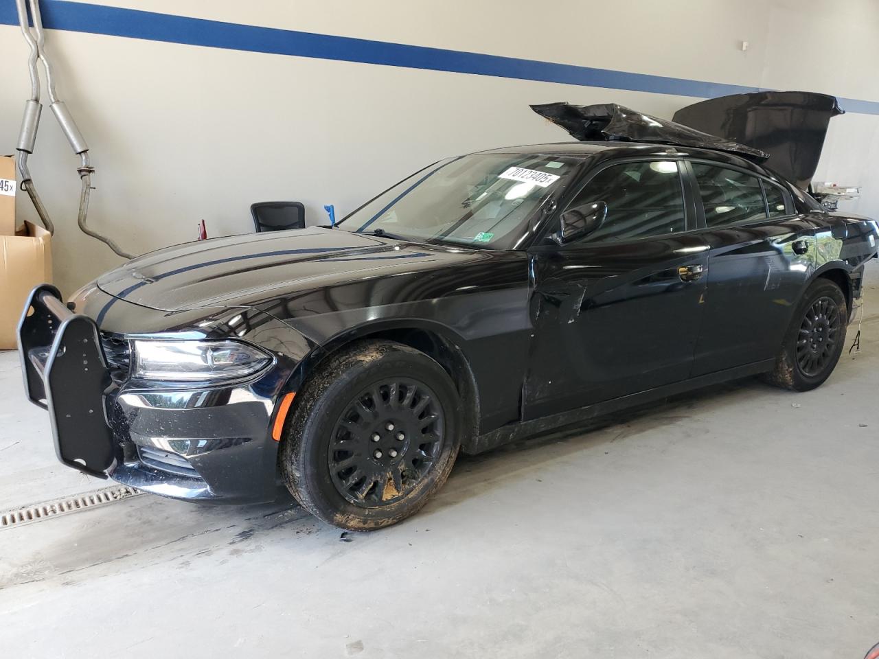 DODGE CHARGER PO 2019