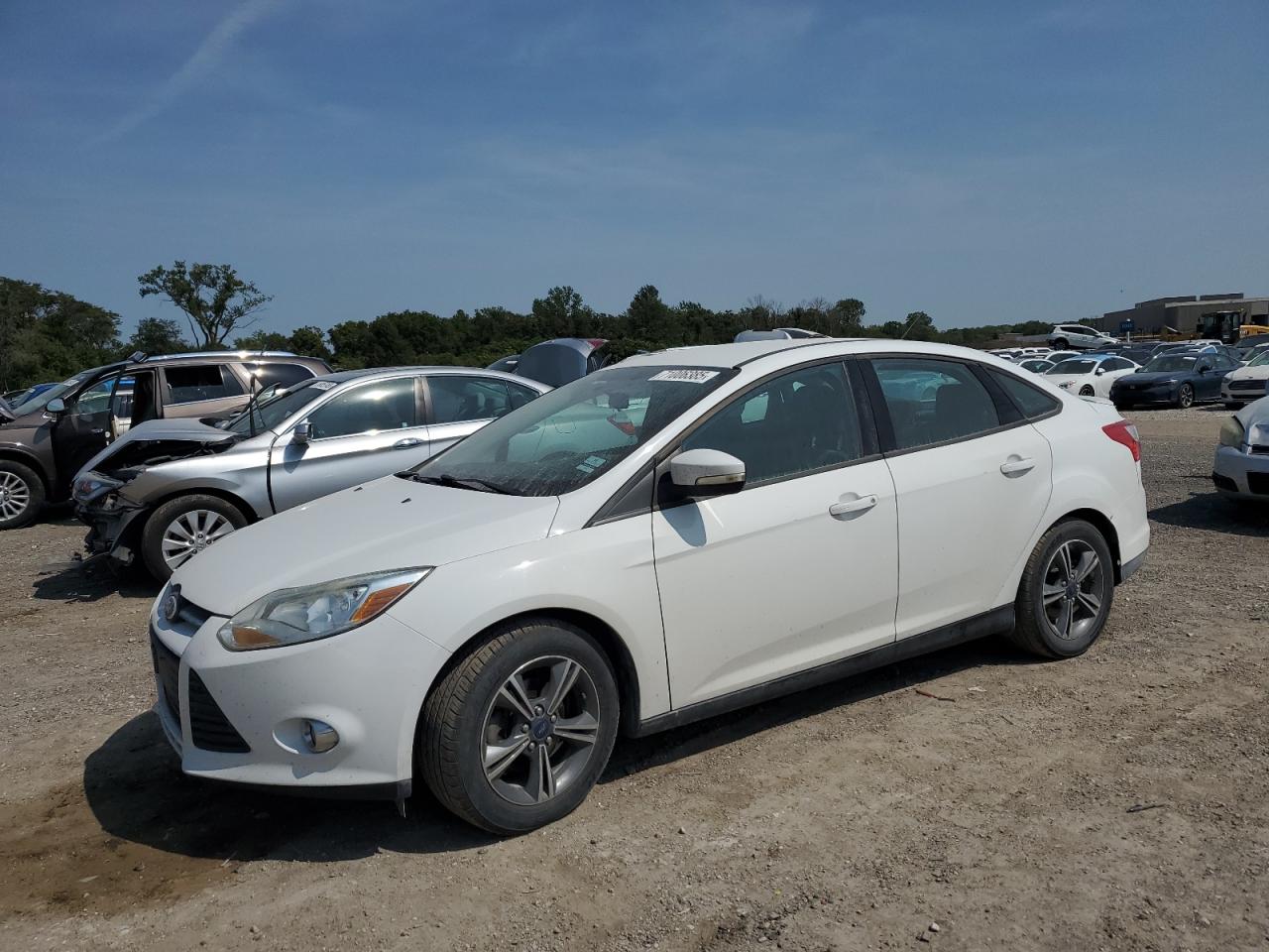 FORD FOCUS SE 2014