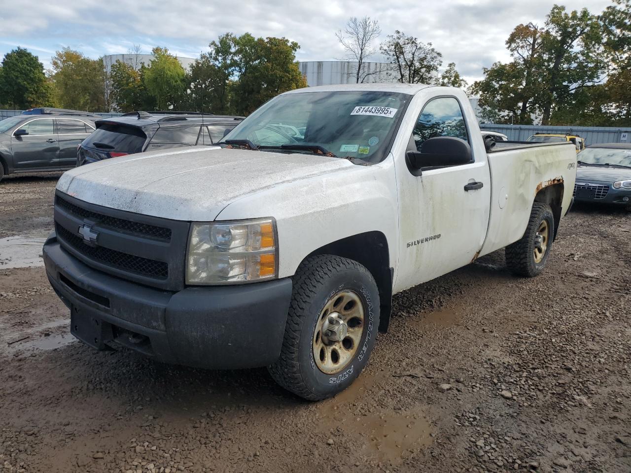 CHEVROLET SILVERADO 2010