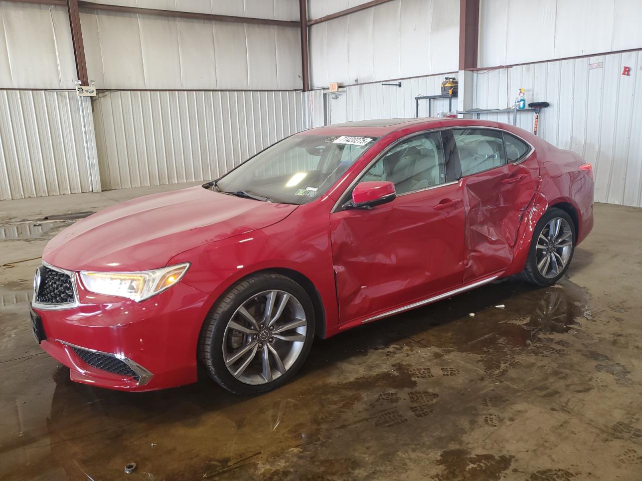 ACURA TLX TECHNO 2019