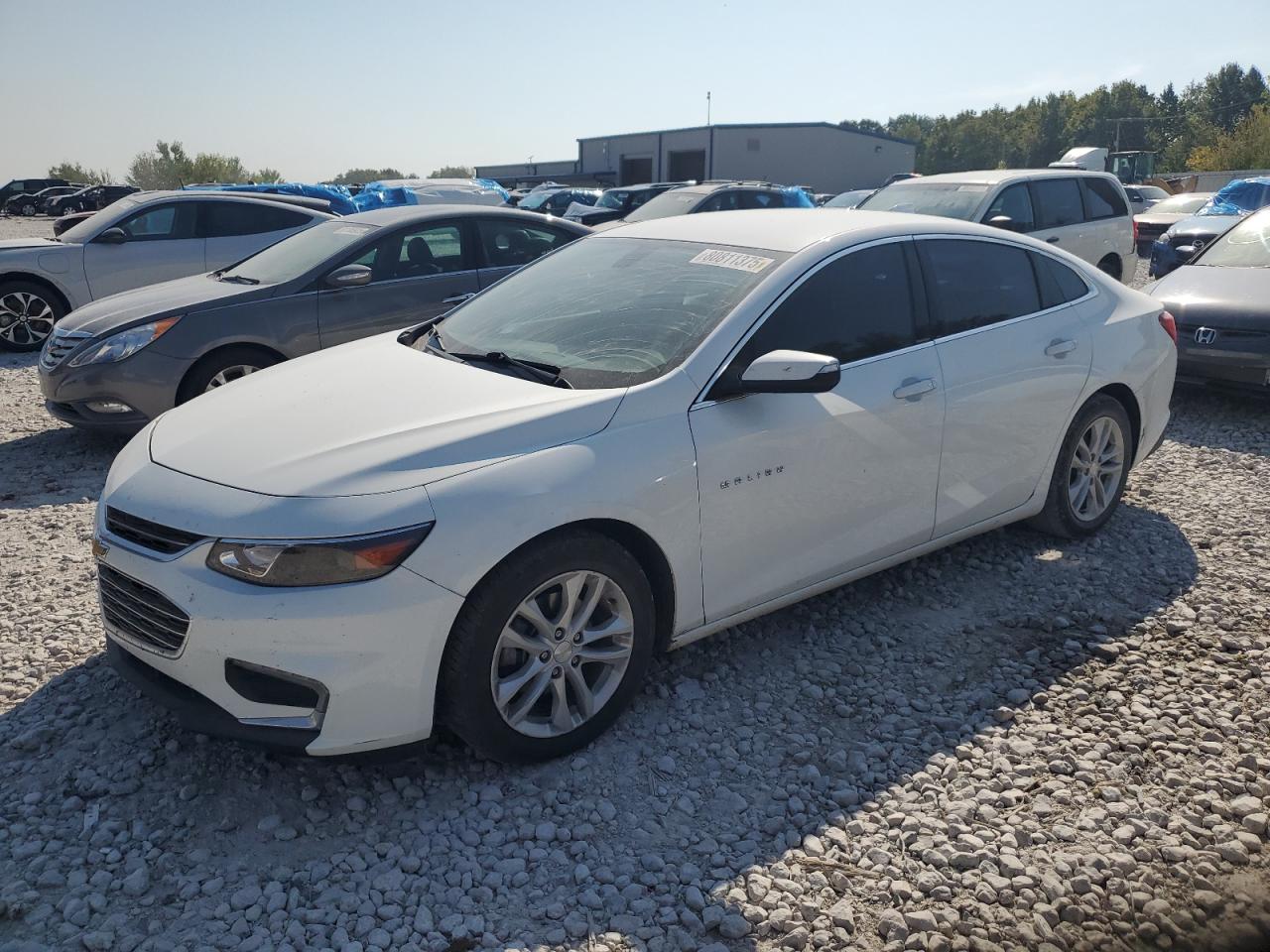 CHEVROLET MALIBU LT 2017