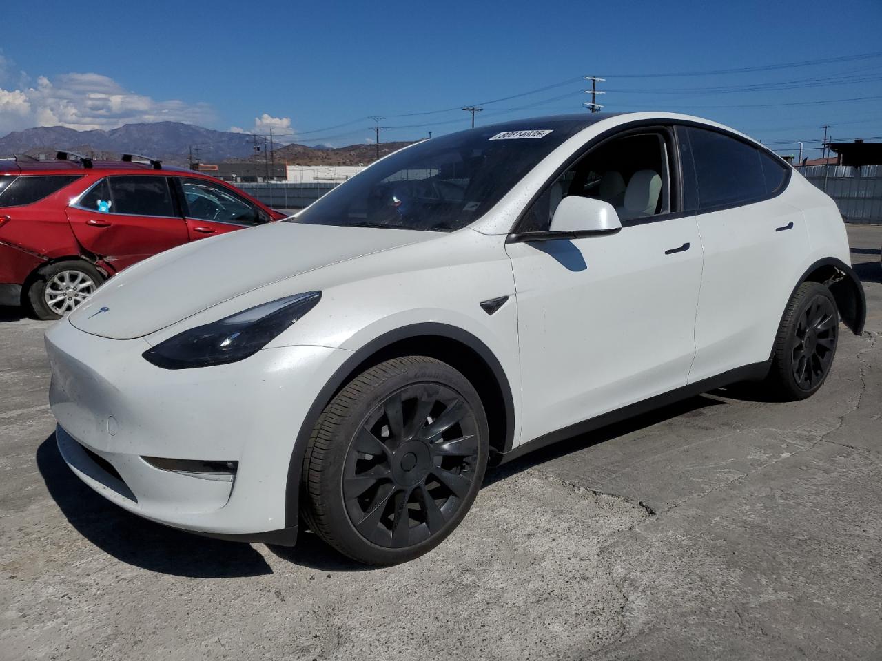 TESLA MODEL Y 2024