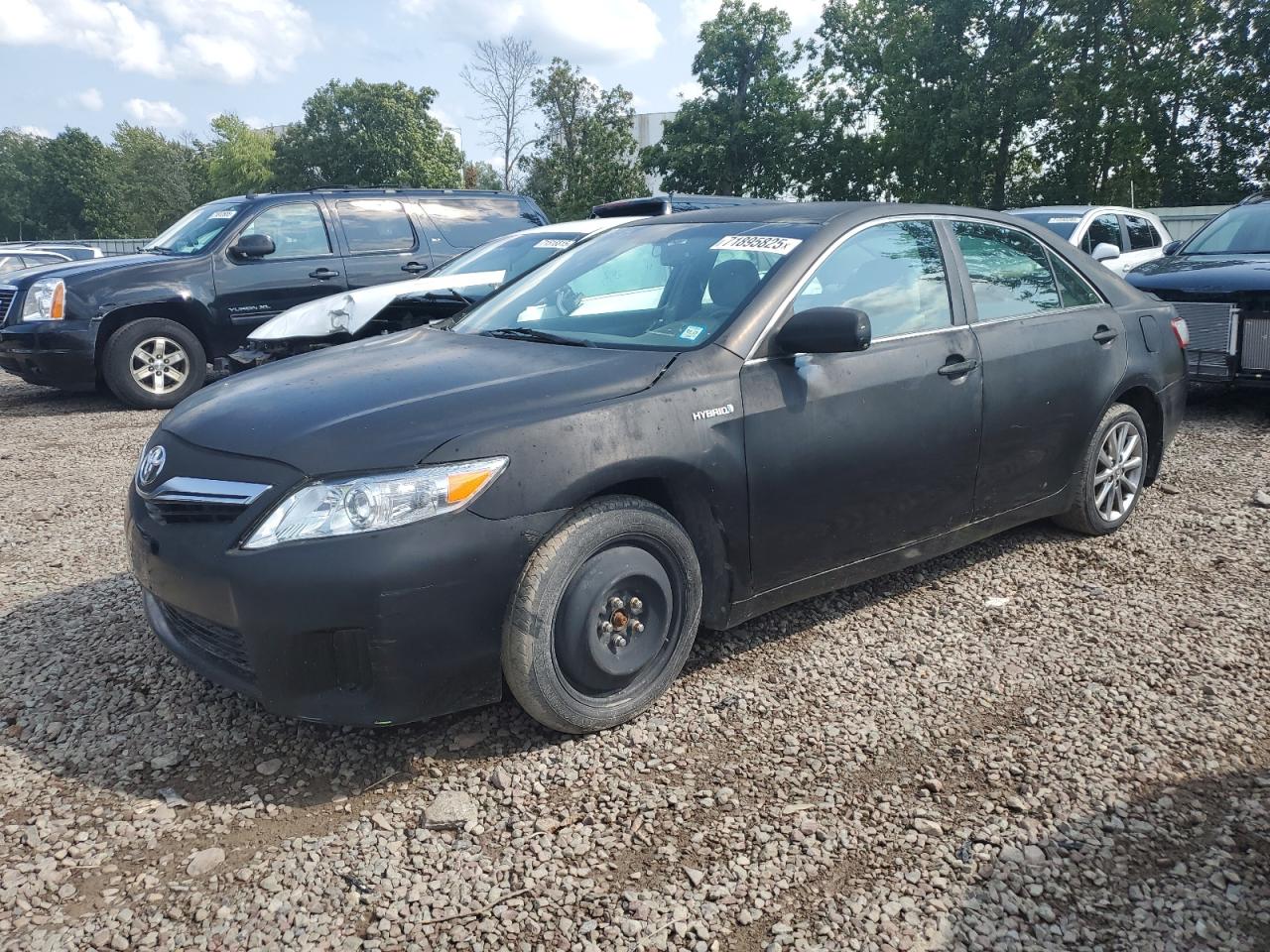 TOYOTA CAMRY HYBR 2010