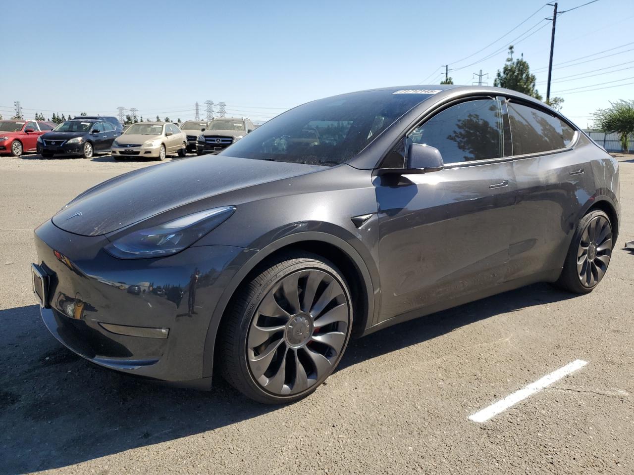 TESLA MODEL Y 2025