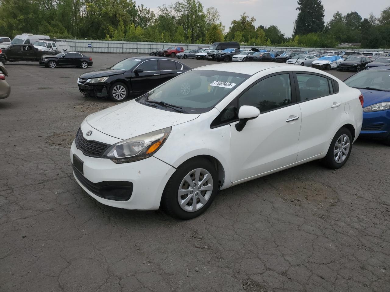 KIA RIO 2014