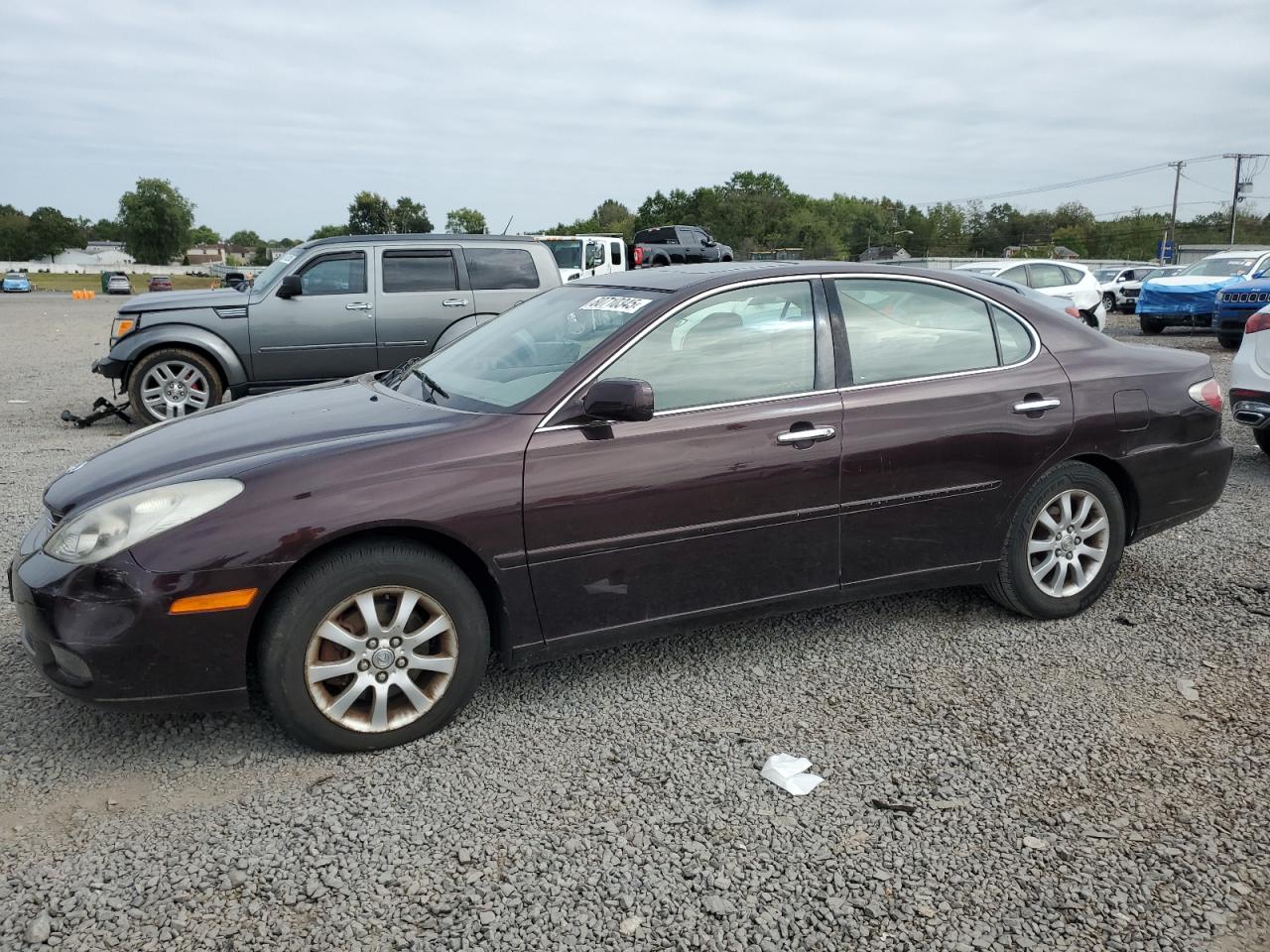LEXUS ES 300 2003