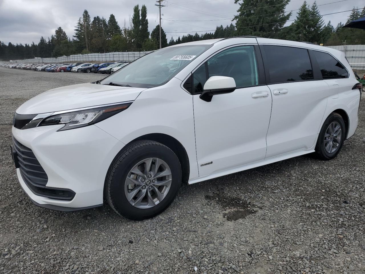 TOYOTA SIENNA LE 2021