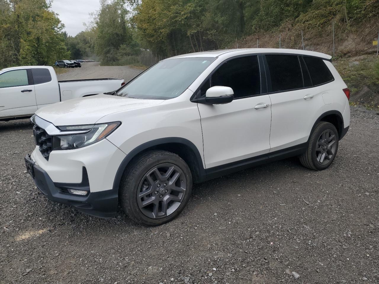 HONDA PASSPORT E 2023