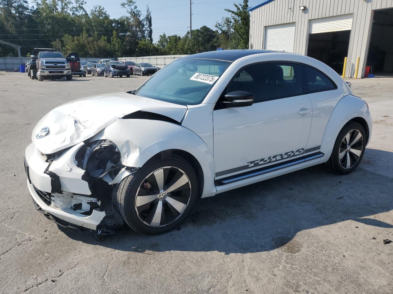 VOLKSWAGEN BEETLE TUR 2013