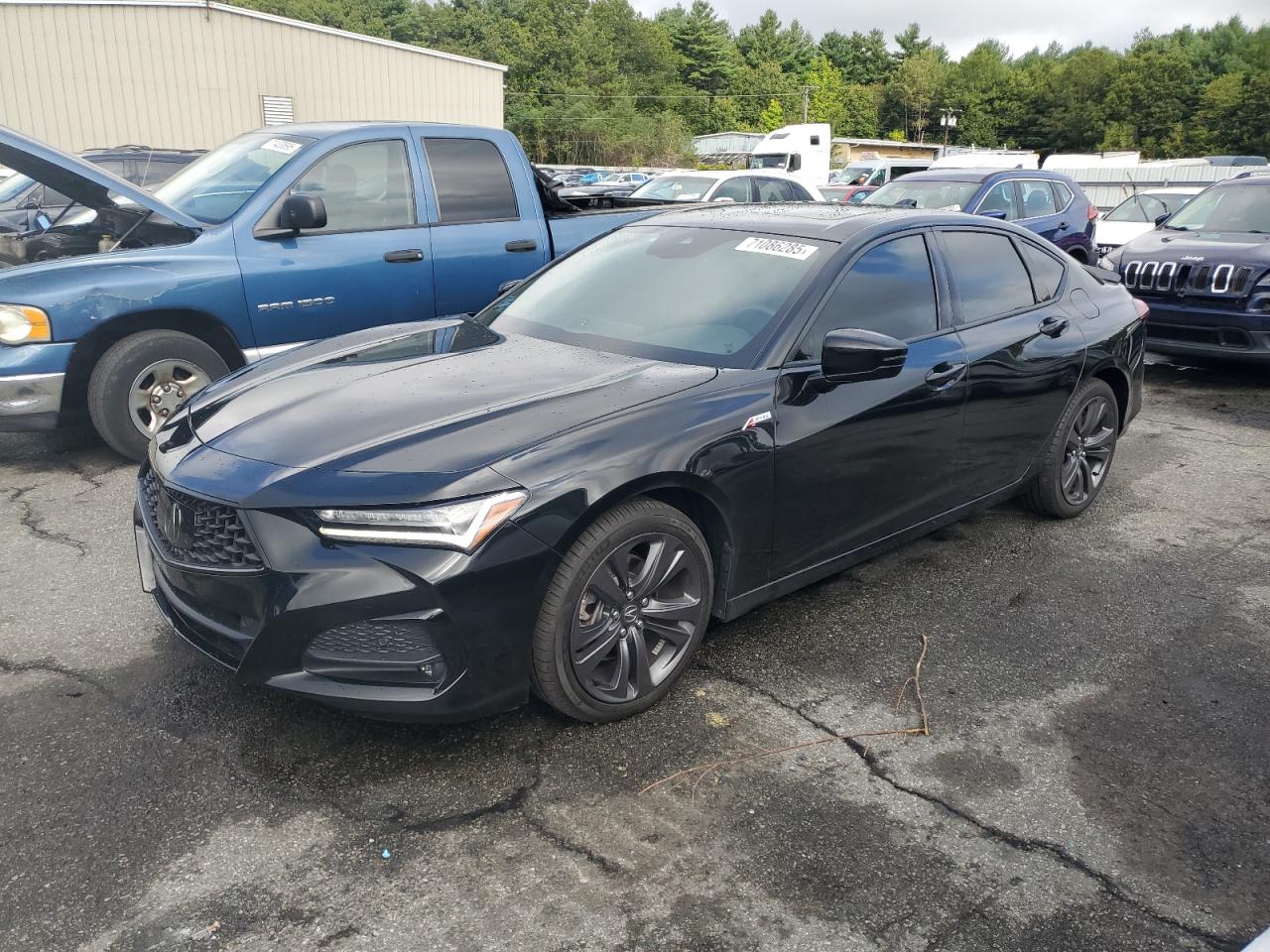 ACURA TLX A-SPEC 2023