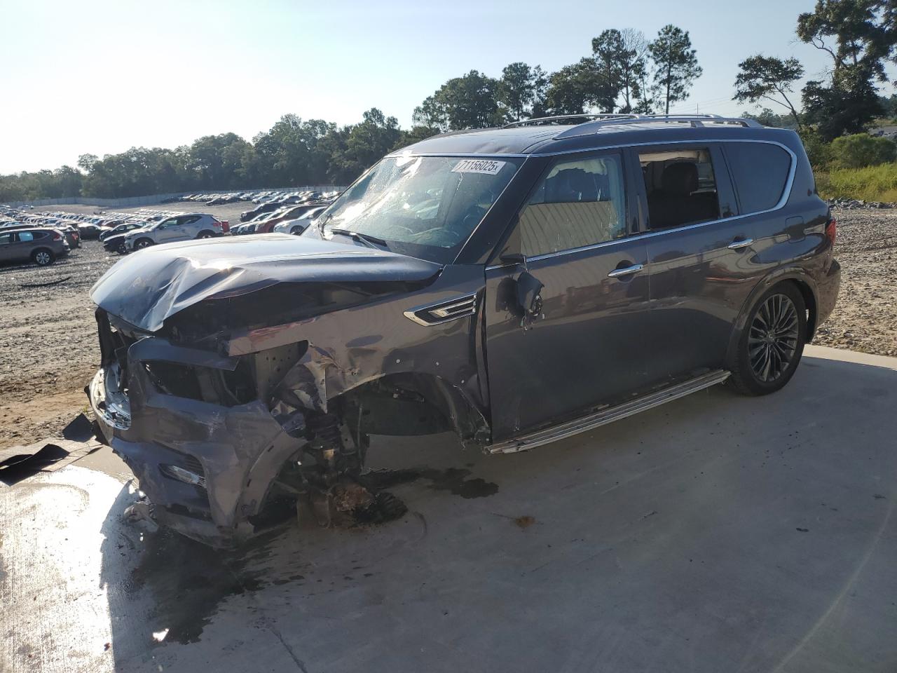 INFINITI QX80 LUXE 2023