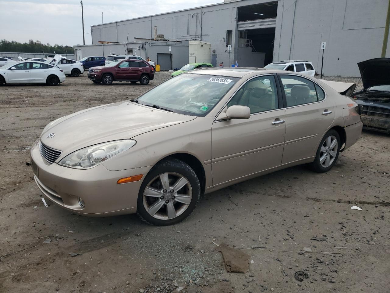 LEXUS ES 330 2005