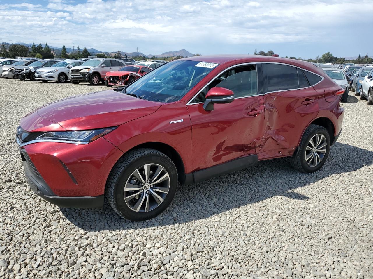 TOYOTA VENZA LE 2021