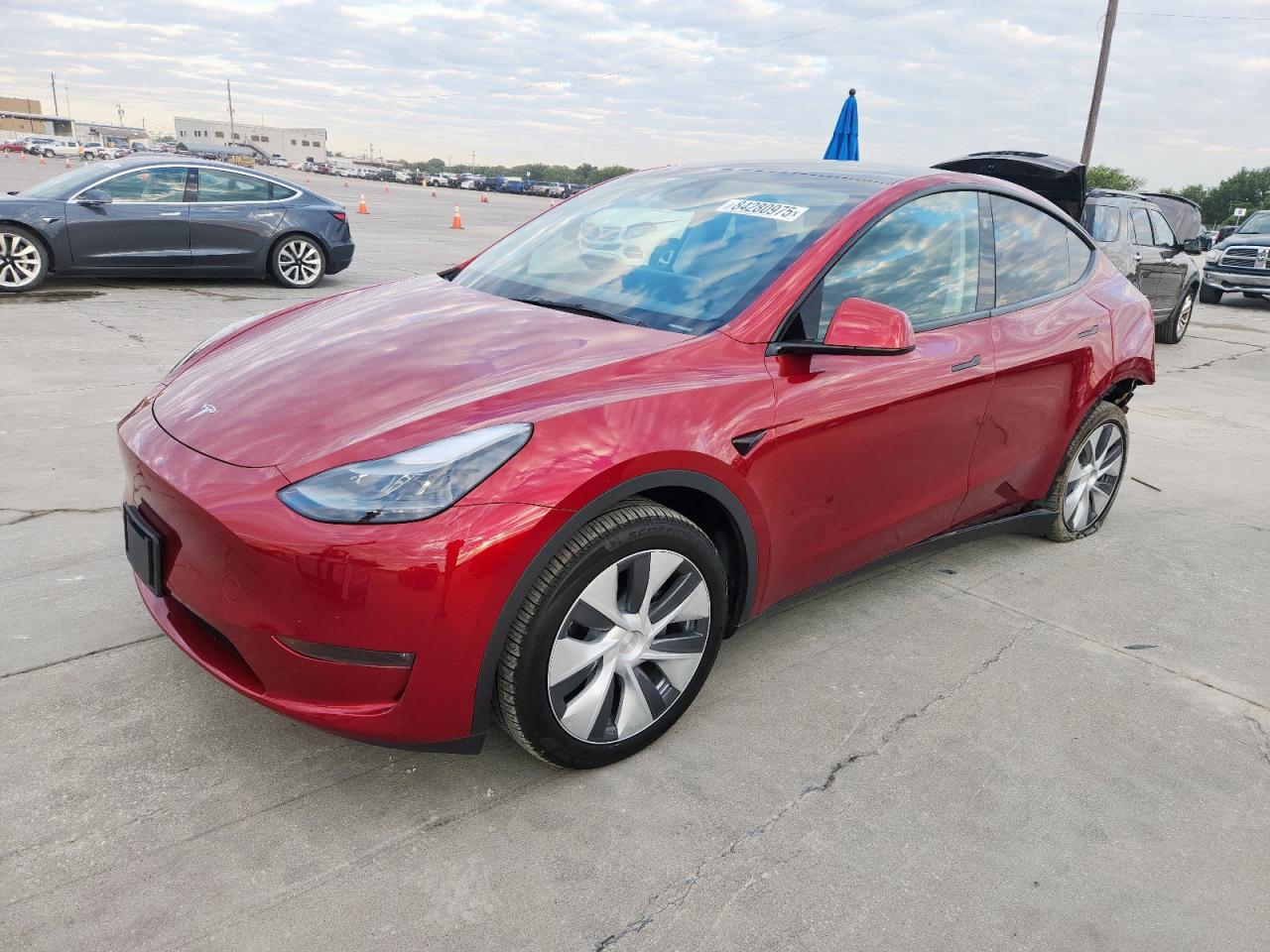 TESLA MODEL Y 2024