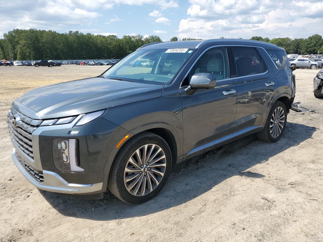HYUNDAI PALISADE C 2024