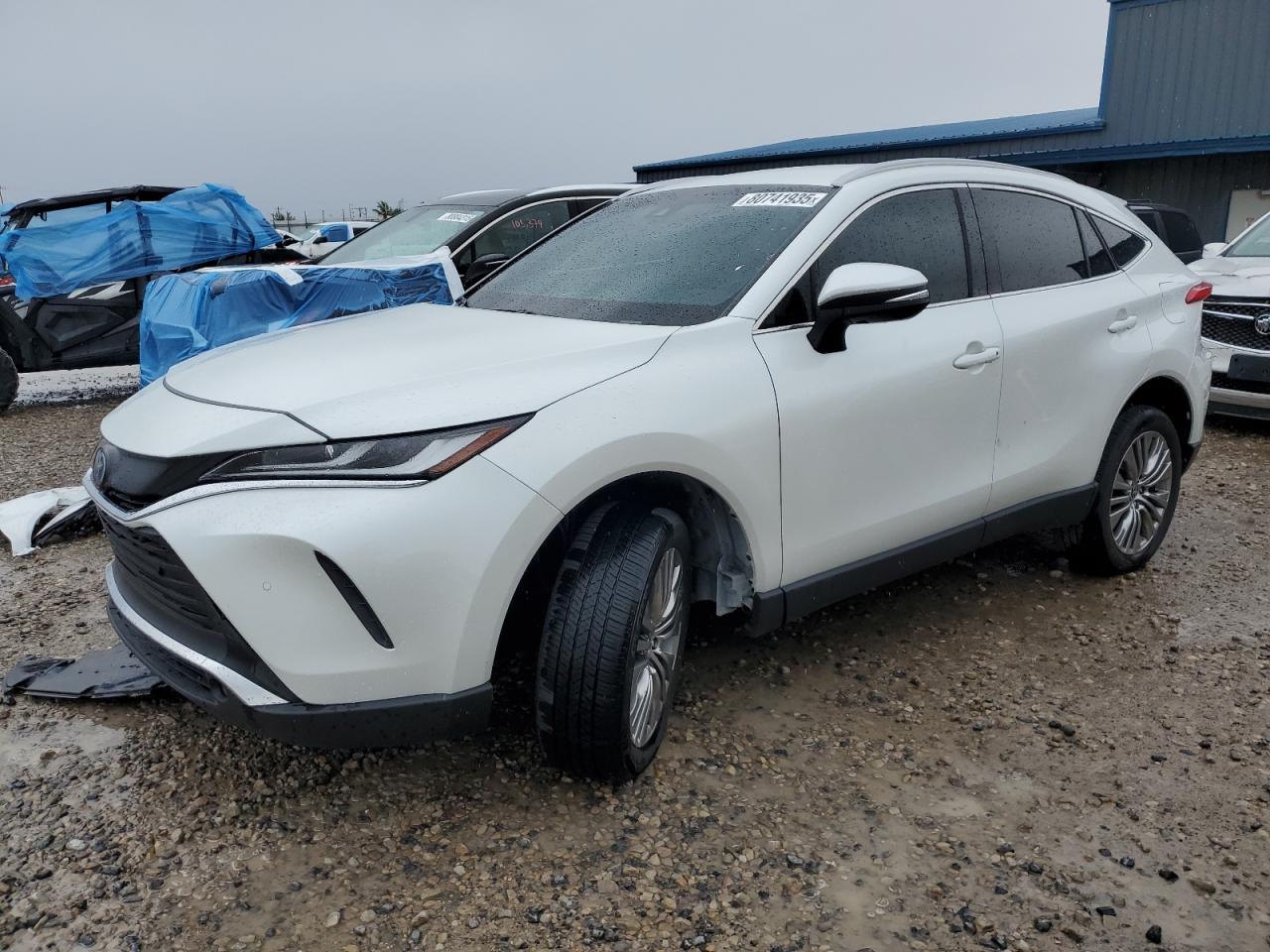 TOYOTA VENZA LE 2024