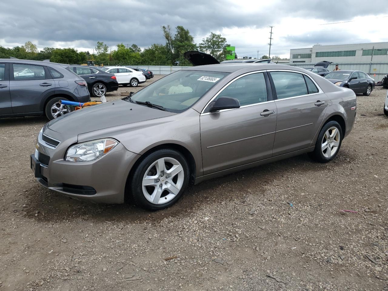 CHEVROLET MALIBU LS 2010