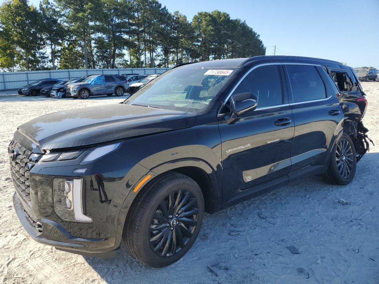 HYUNDAI PALISADE CALLIGRAPHY 2024