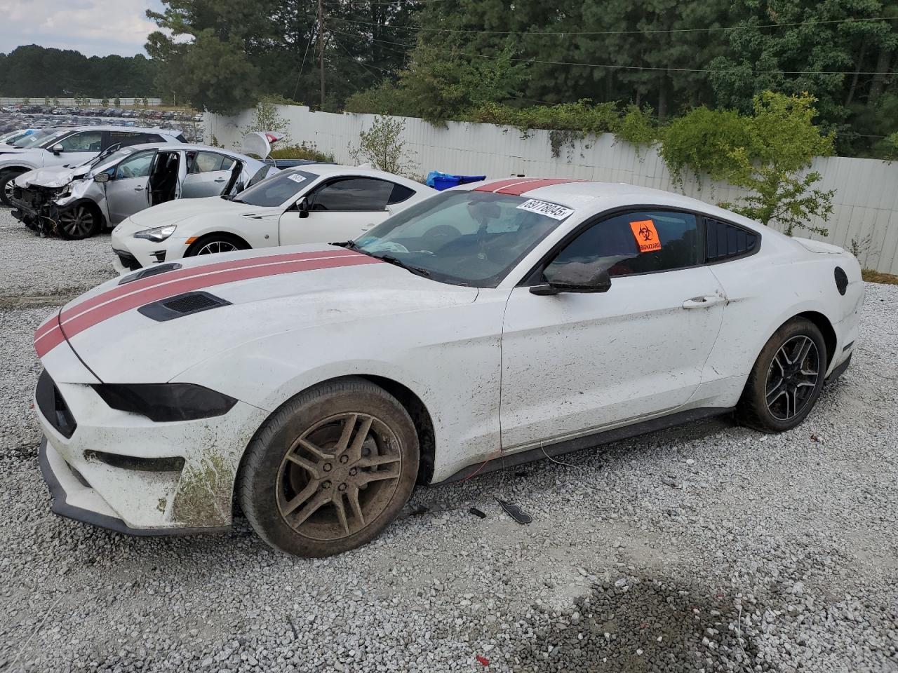 FORD MUSTANG 2019