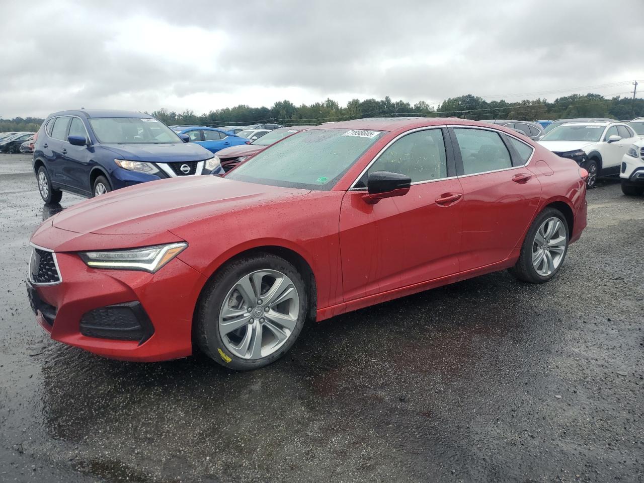 ACURA TLX TECHNO 2021