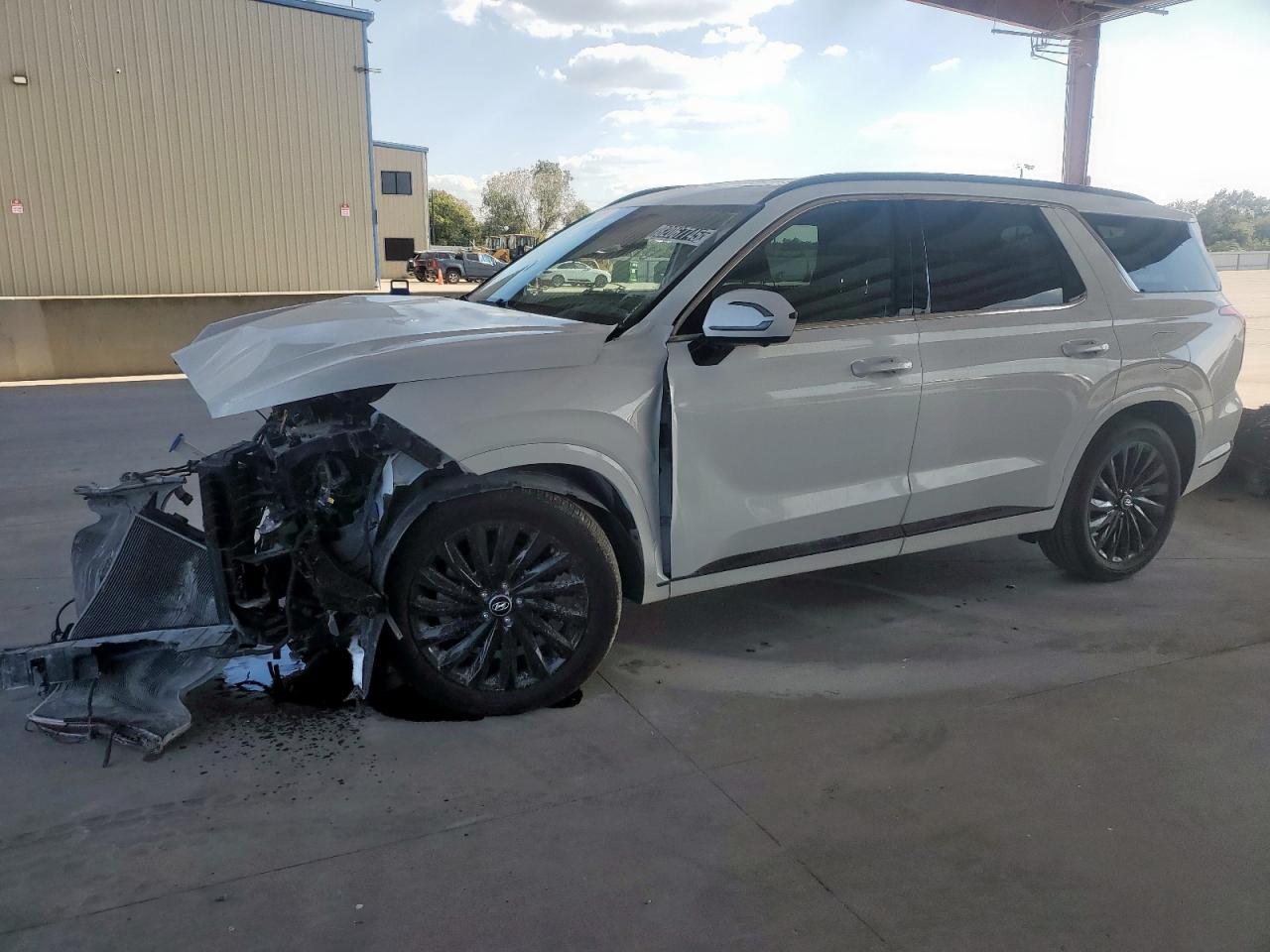 HYUNDAI PALISADE C 2024