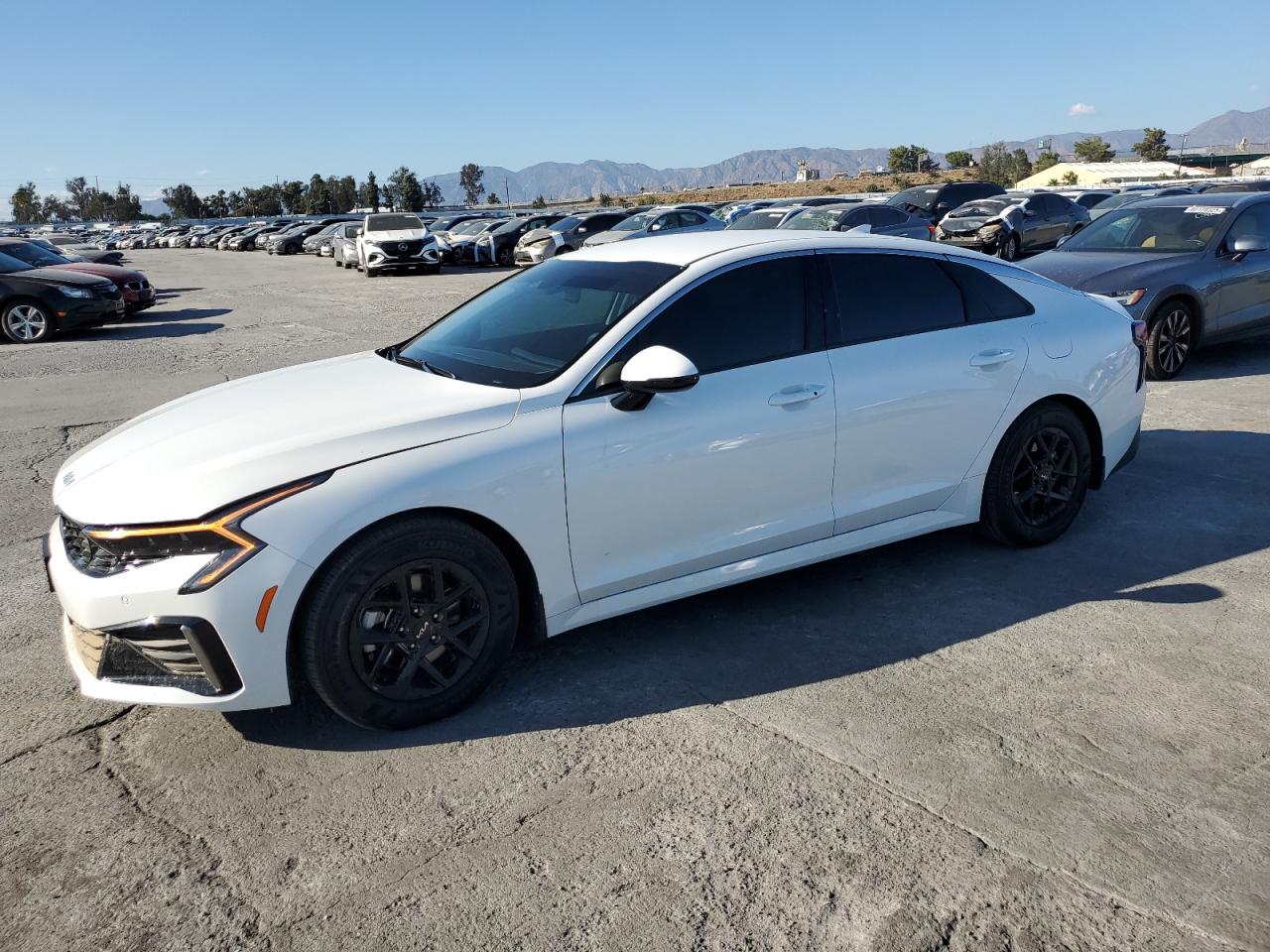 KIA K5 LXS 2025