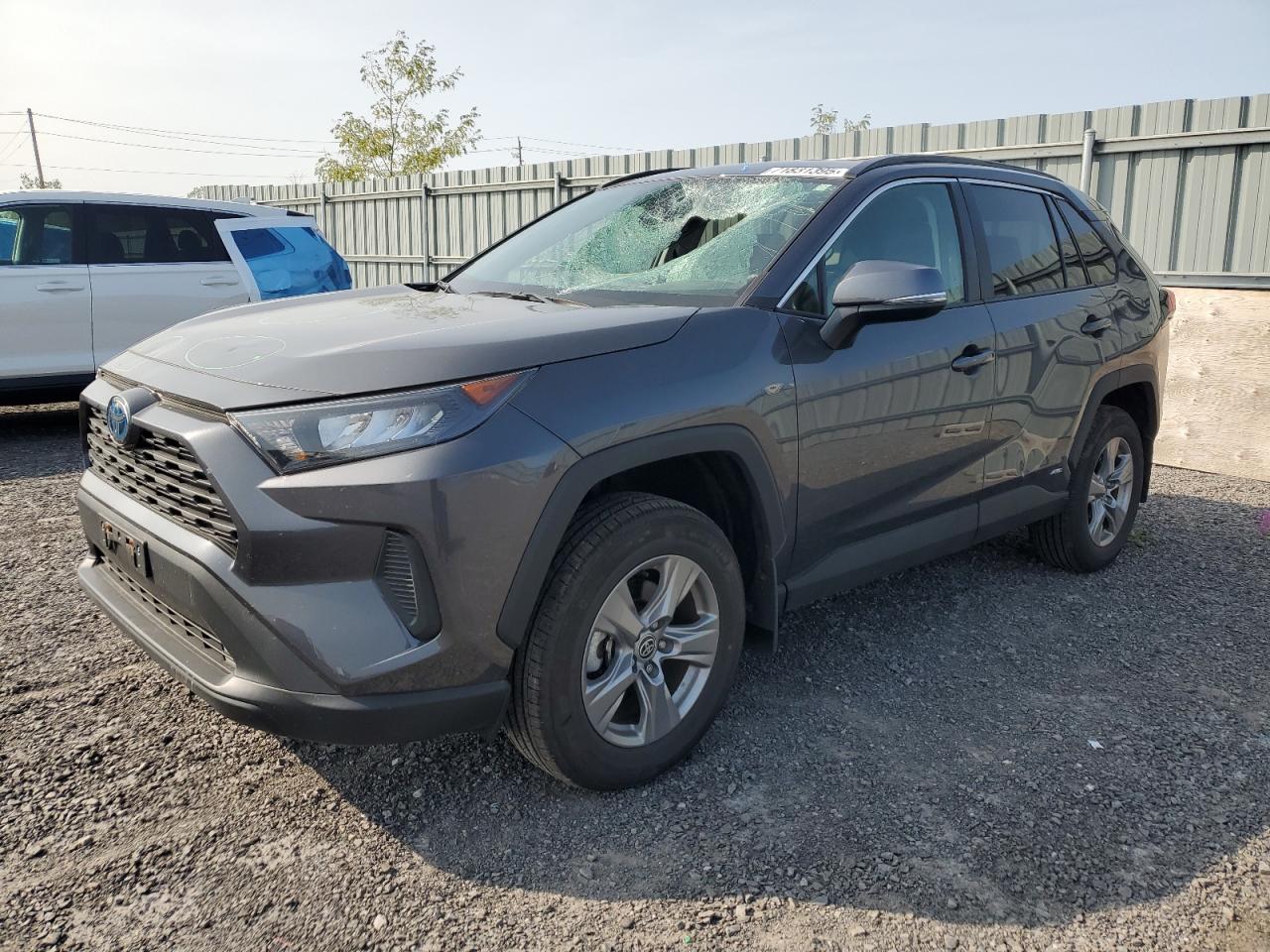 TOYOTA RAV4 LE 2024