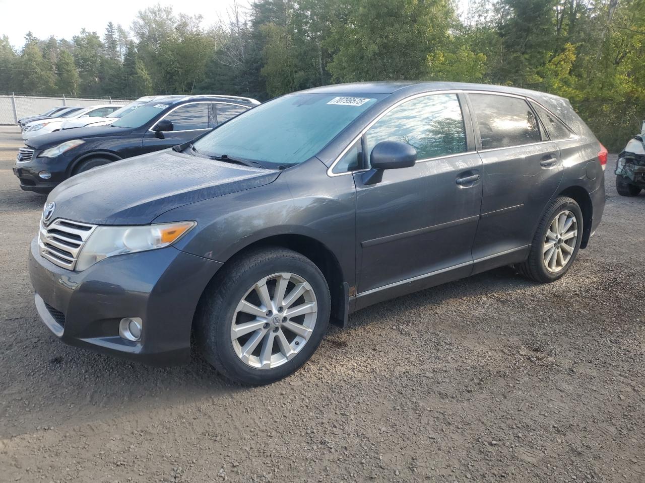 TOYOTA VENZA 2010