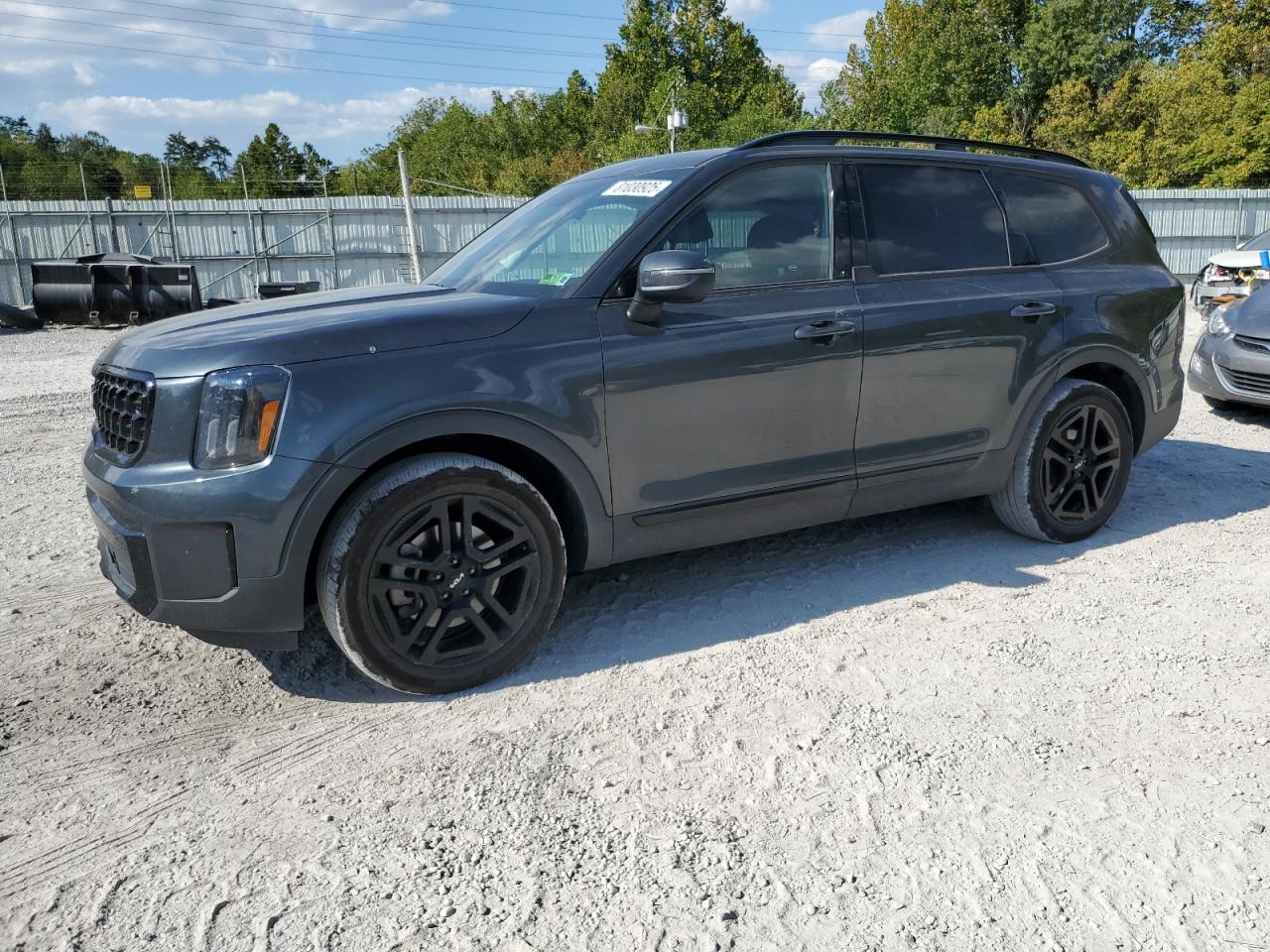 KIA TELLURIDE EX 2024