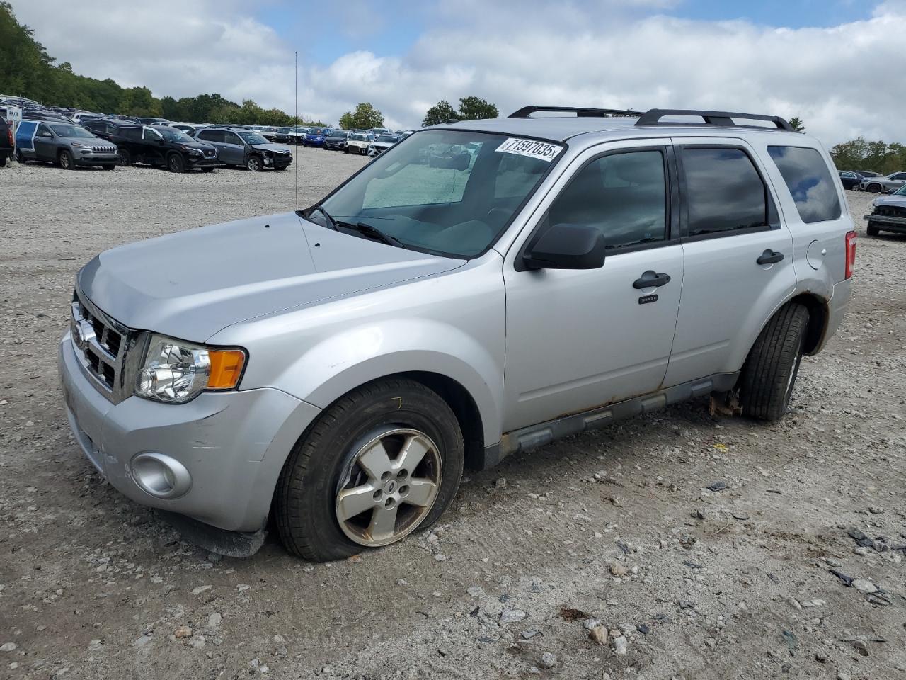 FORD ESCAPE XLT 2011