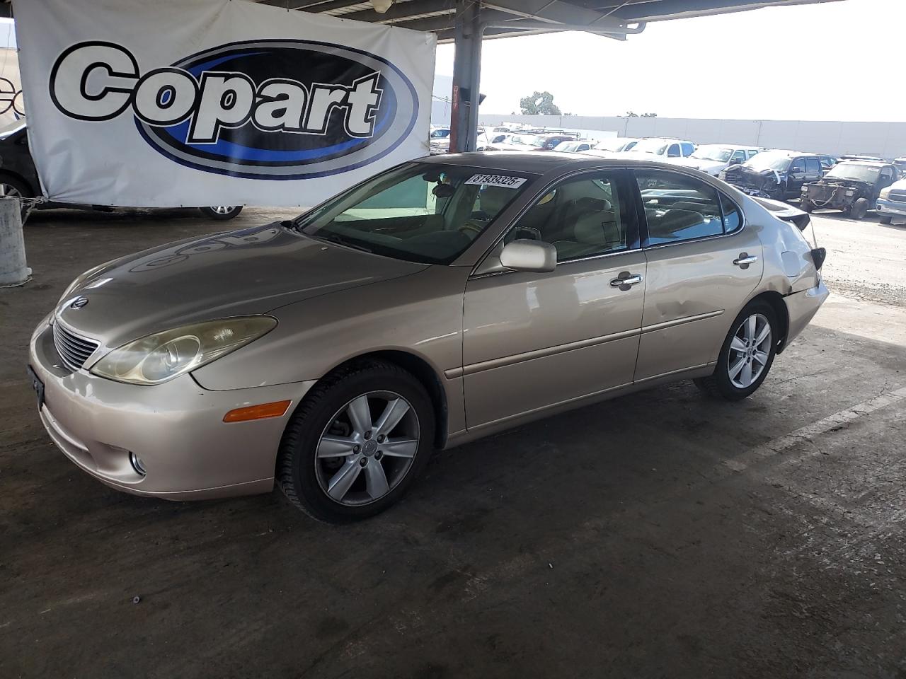 LEXUS ES 330 2005
