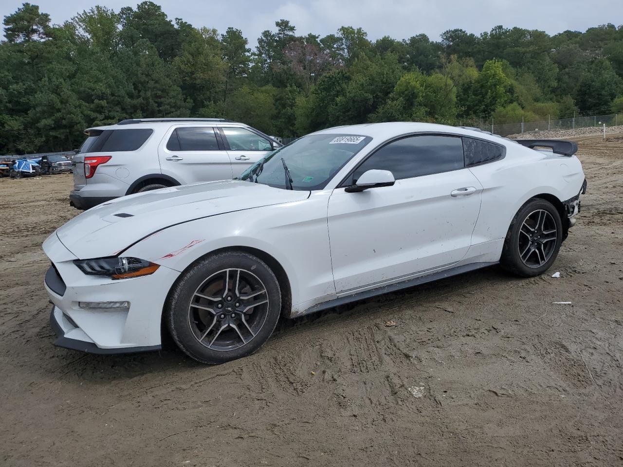 FORD MUSTANG 2019