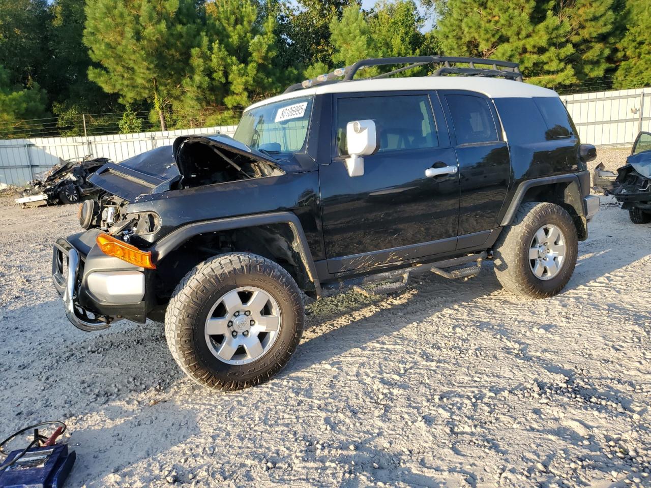 TOYOTA FJ CRUISER 2010