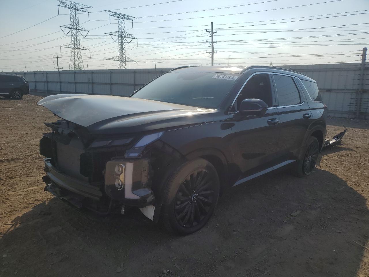 HYUNDAI PALISADE C 2024